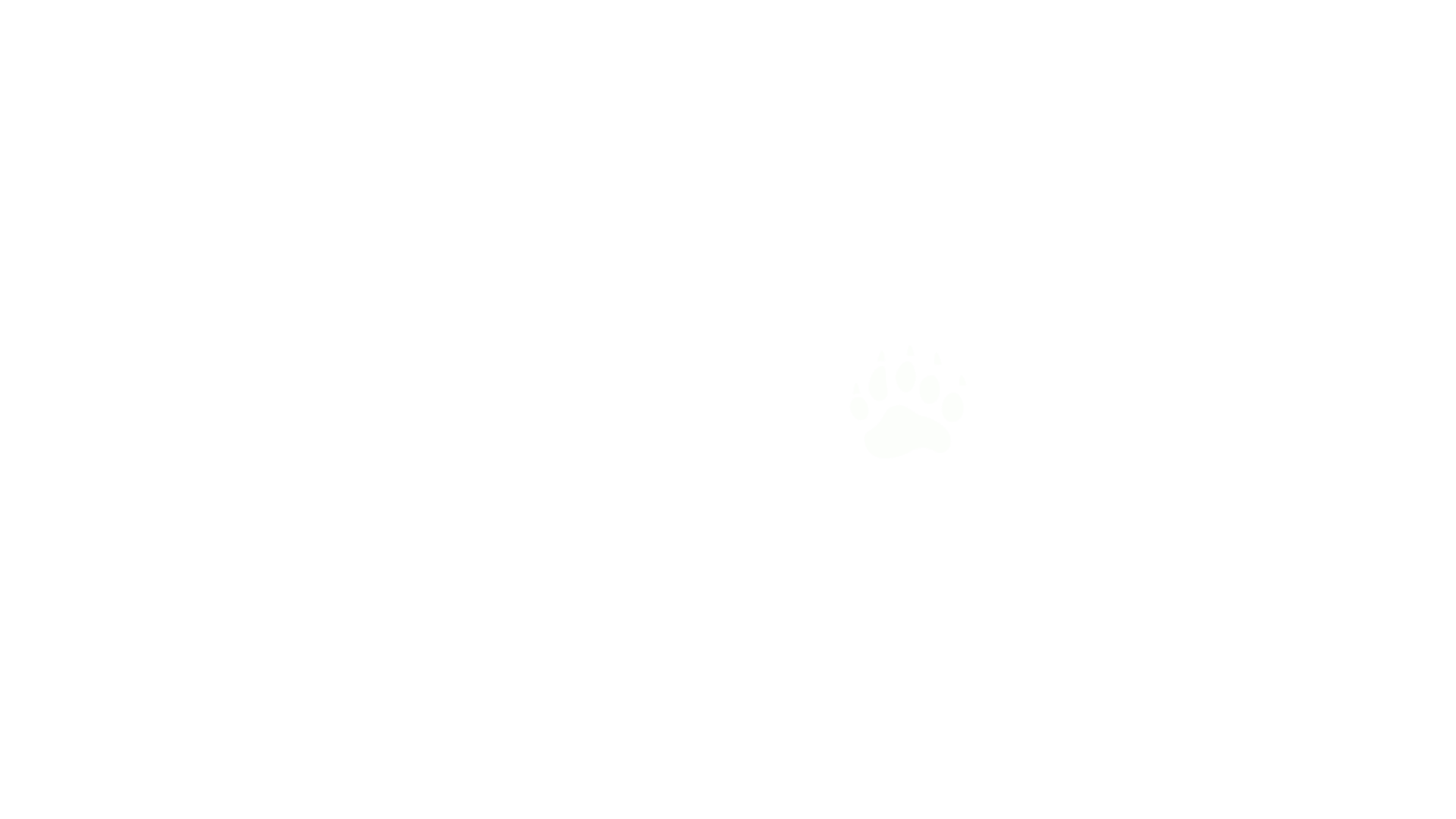 logo02